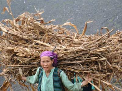 Voyage au Vietnam d'Isabelle