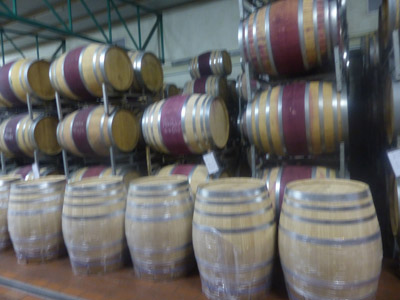 Voyage en Afrique du Sud de Bernard