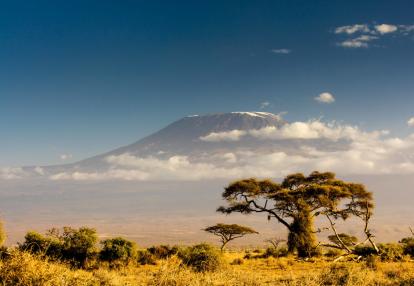 Kilimandjaro Voyage en Tanzanie - Kilimandjaro et safari